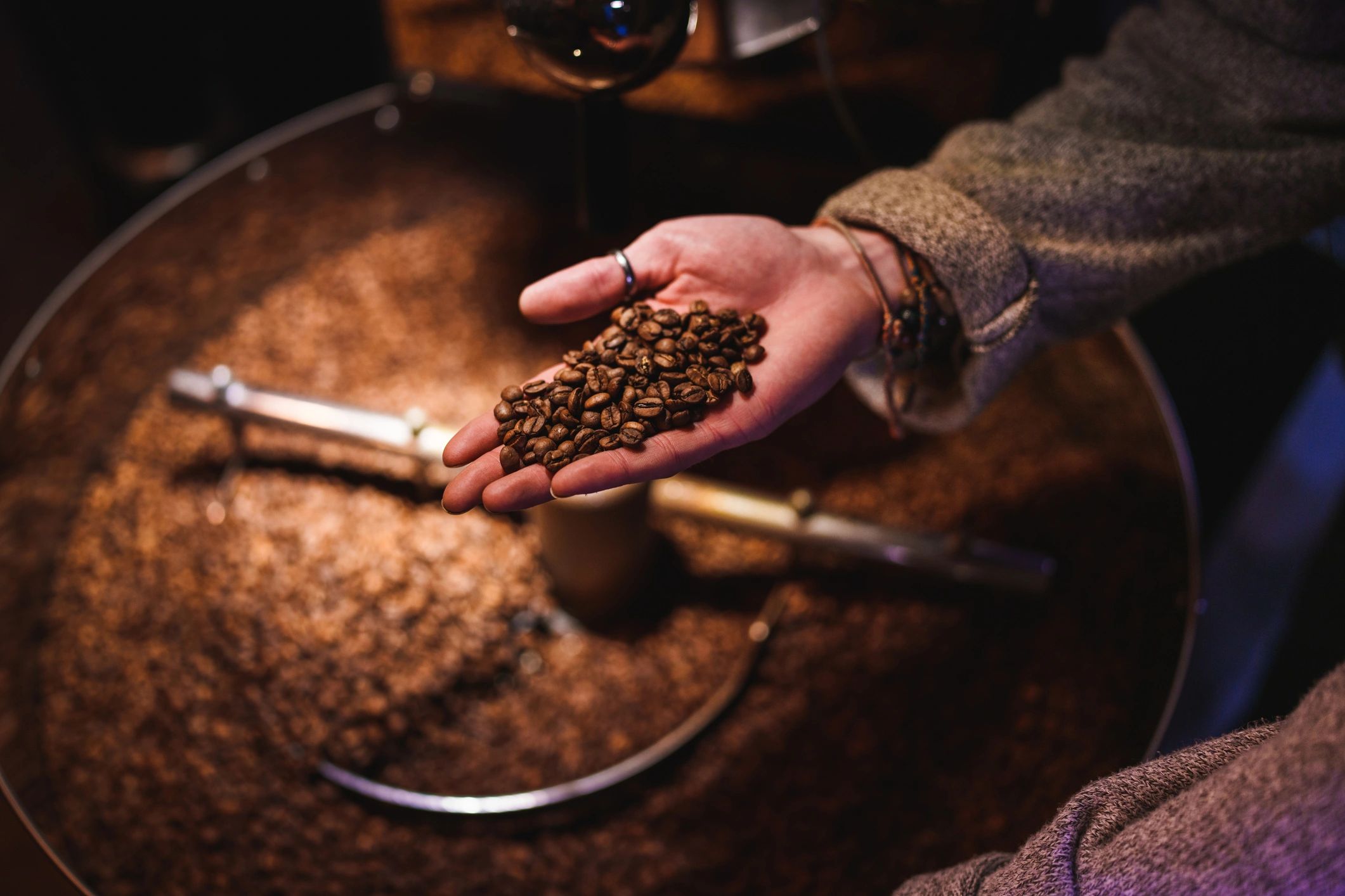 Roasted coffee beans in a barista’s hand