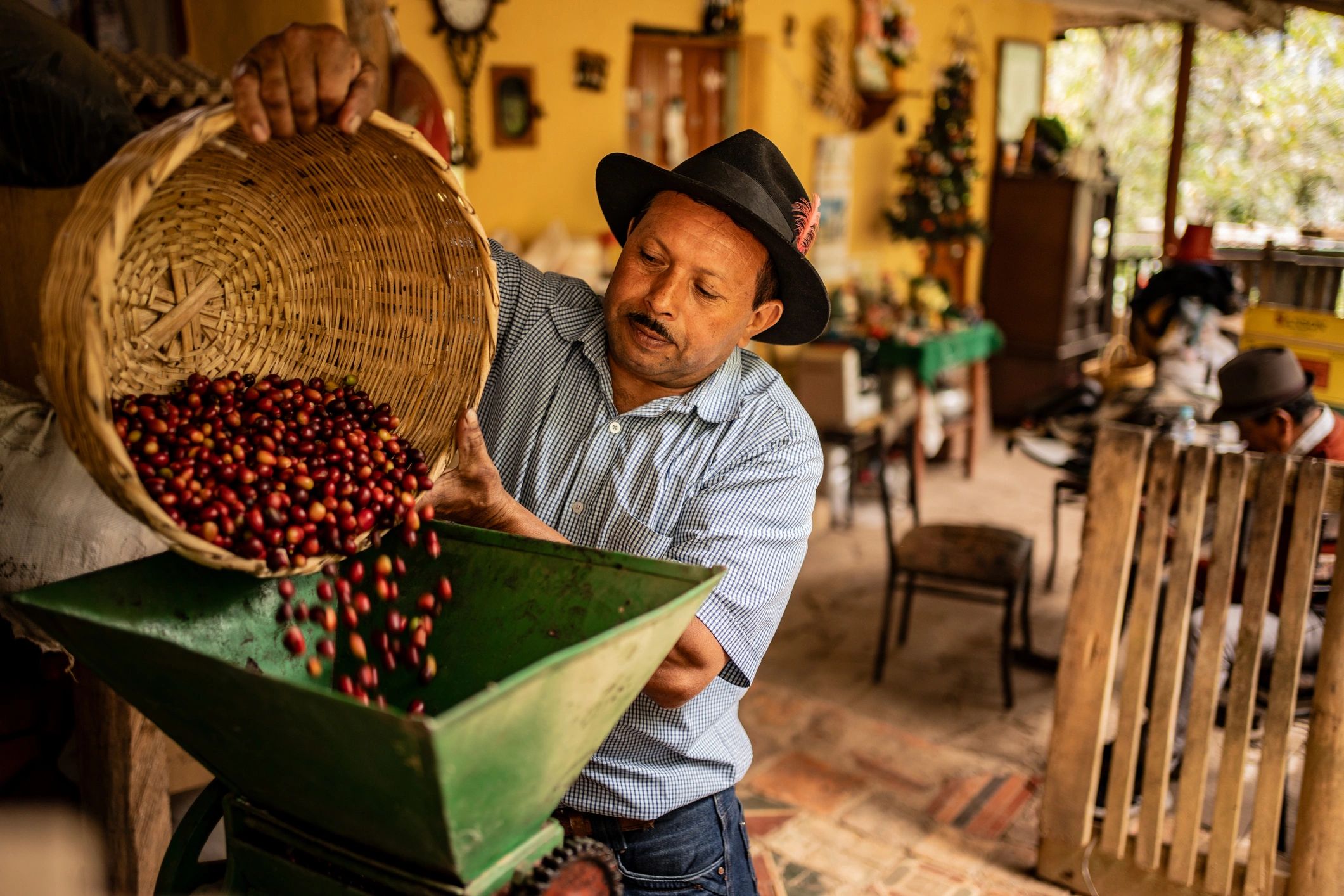 Farmer preparing coffee at a farm