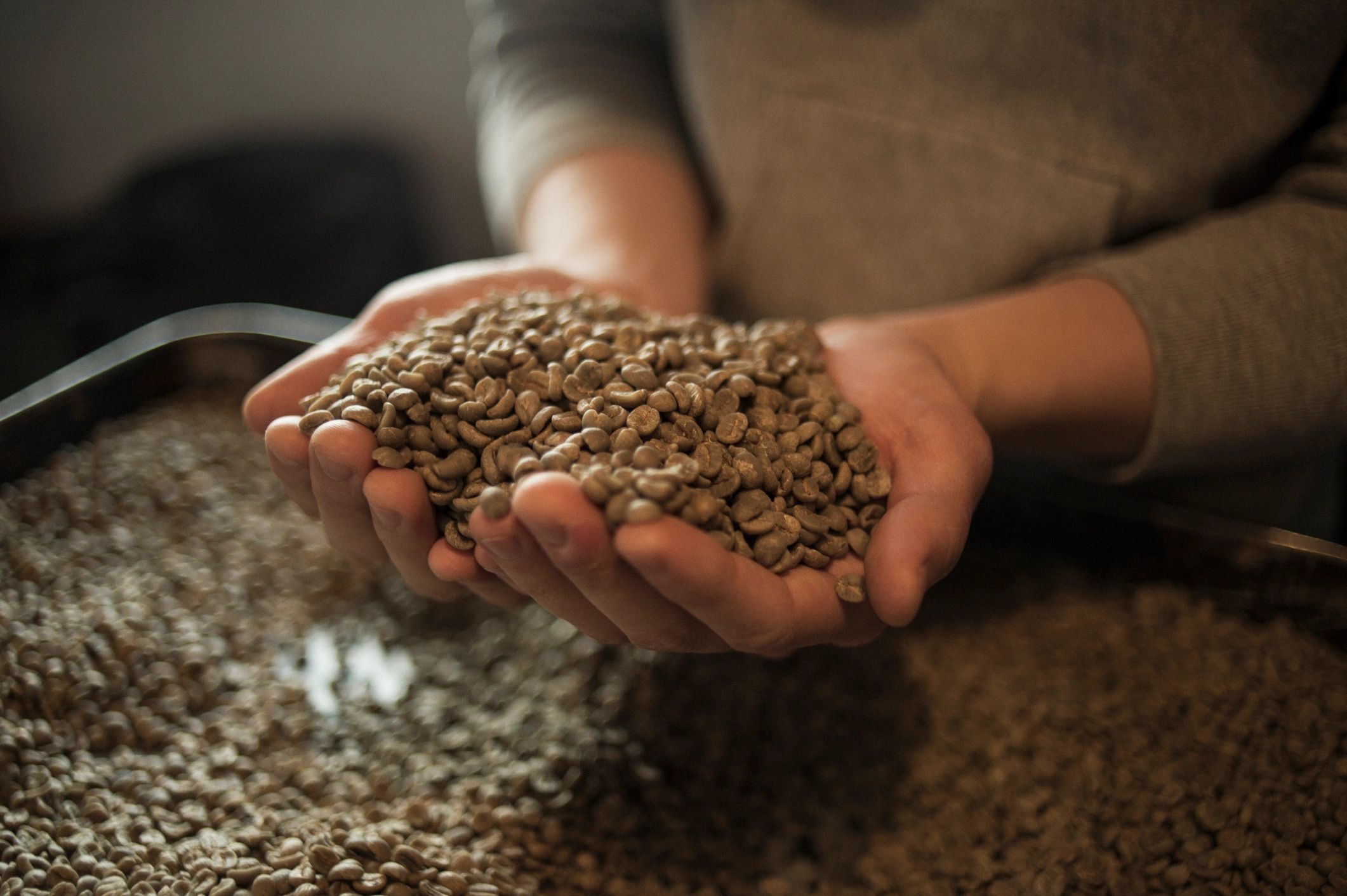 Barista working with coffee beans in a coffee shop